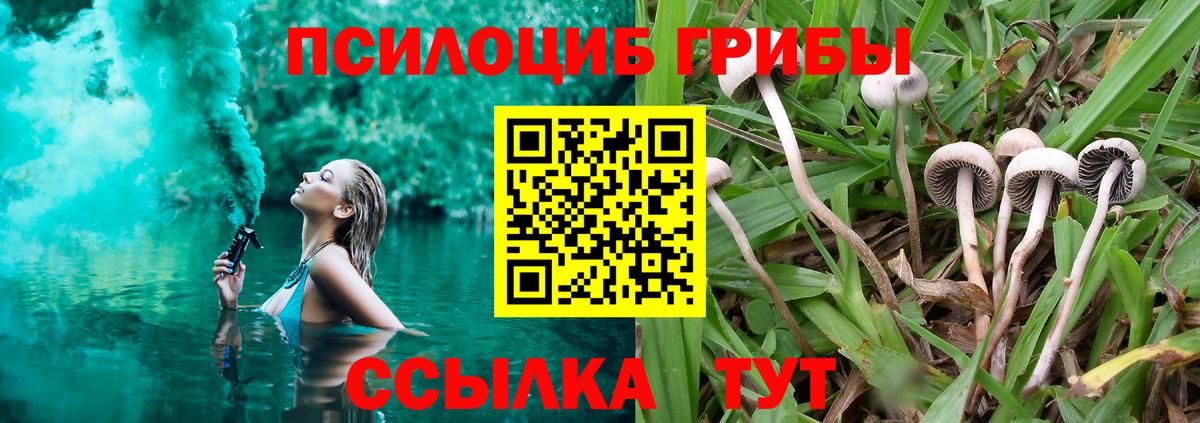 Псилоцибиновые грибы мицелий Клинцы